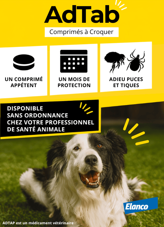 ELANCO - menu Août26